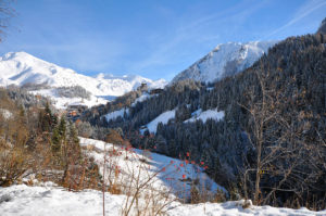 Scopri di più sull'articolo Il sogno delle seconde case: la montagna attrae sempre